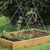 EcoStake Garden Stakes 6-Ft for Climbing Plants Supports Pole 20