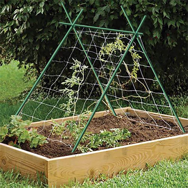 EcoStake Garden Stakes 6-Ft for Climbing Plants Supports Pole 20