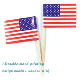 JBCD Maryland Toothpick Flag Small Mini Cupcake Topper Flags,100pcs USA and 100pcs Maryland
