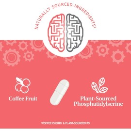 21st Century Brilliant Brain Performance 30 Cpsulas Sfn Sin Sabor