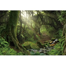 Renaiss Enchanted Jungle Forest Backdrop 10 x 6.5 FT Vinyl Green Primary Forest Photography Background Rainforest Scenery Photo Backdrop Kids Adults Birthday Baby Shower Camping Decorations