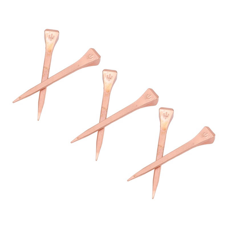 250Pcs Horseshoe Nails Copper Plating Shoeing Nails with Plastic Box