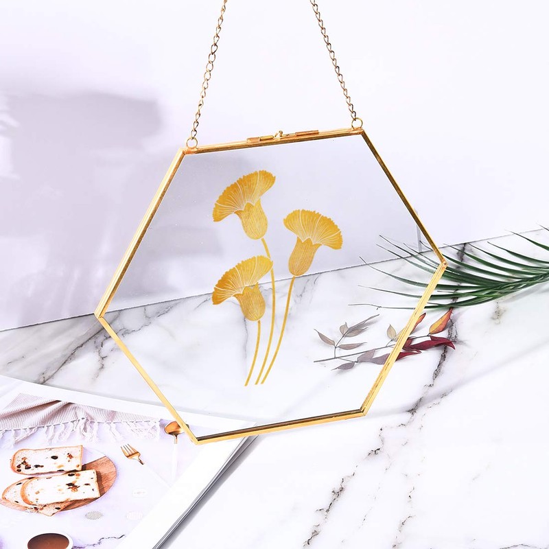 C&Z Hanging Wall Glass Frame for Pressed Flowers Dried Leaf