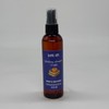 Room & Car Spray - (4 oz):_Blueberry Pumpkin Waffle