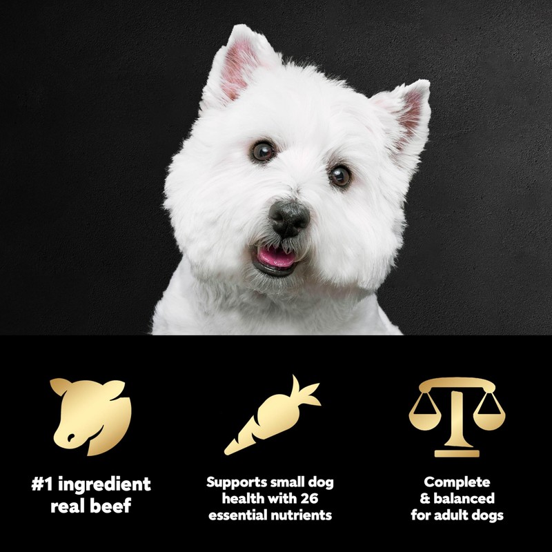 Cesar Small Breed Dry Dog Food Filet Mignon Flavor and
