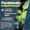 RESAWN Premium 4-in-1 Probiotic Prebiotic Postbiotic & Digestive Enzymes C