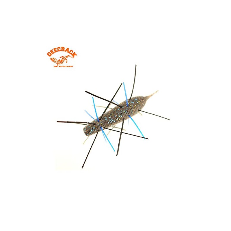 Geekrack Caterpillar SAF Material 1.6 inches (40 mm) GEECRACK IMOKEMUSHI