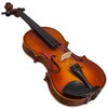 Paititi 1/2 Size Solid Wood Ebony Fitted Violin with Bow