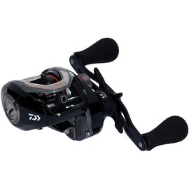 ダイワ(DAIWA) フネ X 100HL 両軸リール