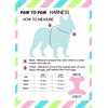 Adjustable Zoo Dog Collar with soft padded neck- Paw to