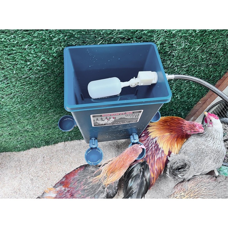 Chicken Waterer with Float Controlled Automatic Set, Chicken Coop Accessories