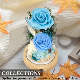 Flowers, Roses, Gifts–Flowers Bouquet & Forever Flowers for Delivery Prime - Preserved Flowers Birthday Gift for Women, Valentine's, Mother's Day, Christmas–Lasting Fresh Roses, Battery Included