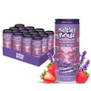 Melting Forest Mushroom D-Stress, Sparkling Adaptogen Drink with L-Theanine, Lion's