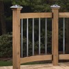 Deckorators 40 Inch Traditional Deck Balusters - Black, Pack of