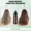 KAISASA Dark Brown Hair Dye Shampoo 3 in 1Argan Herbal
