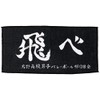 Haikyu Towel, Small, gray