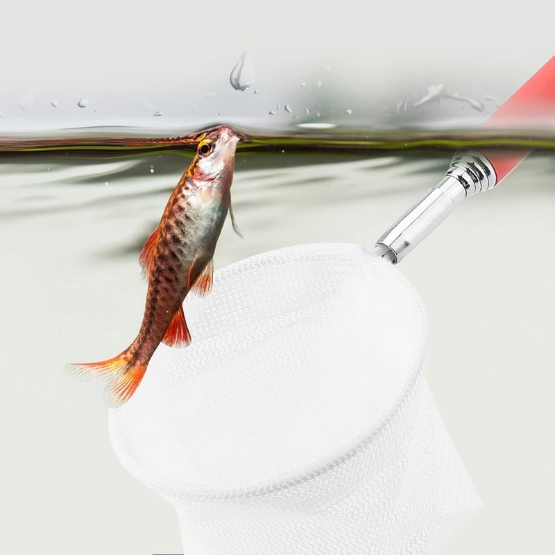 Red de Pesca Telescópica Extensible Luocute para Acuarios y Estanques