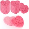WLLHYF 20 Pieces Compressed Facial Sponges Natural Cellulose Facial Cleaning