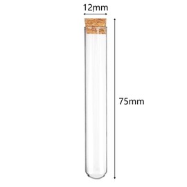Pack of 20 Test Tubes, Test Tube with Corks, 12 mm x 75 mm, Plastic Test Tube, Test Tube Vase, Test Tubes for Flowers for Flowers, Liquids, Spices, DIY