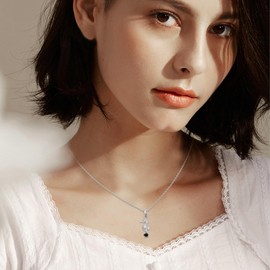 PARYFO Seahorse Necklace S925 Sterling Silver Tiny Sea Horse Necklaces Sea horse Pendant Hawaii Summer Ocean Jewelry Beach Pendant Beachy Gifts for Women Daughter Wife Ocean Lovers,