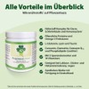 Dr. Jacob's imun I Regenerate for Immune System¹ and Mucous