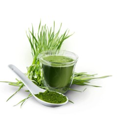 CELLAVITA Organic Wheatgrass Wheatgrass Powder Vita 150 g 100% Natural Excellent Vital Substance Content Superfood Up to 1.5 Months Enough