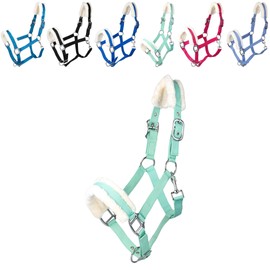 RL24 - Headcollar with Plush Padding Basicline | Halter for Horses & Ponies | Horse Halter with Rivet-Reinforced Clasps & Snap Hook for Opening | Horse Accessories in Light Green | Shetty