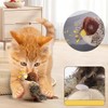 Chirping Bird Cat Toys for Indoor Cats, Flying Bird Cat