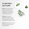 Maquillaje Piel Grasa - Mixta Teia Cosméticos Naturales