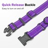 Erbine Martingale Collar for Dogs with Quick Release Buckle, Reflective