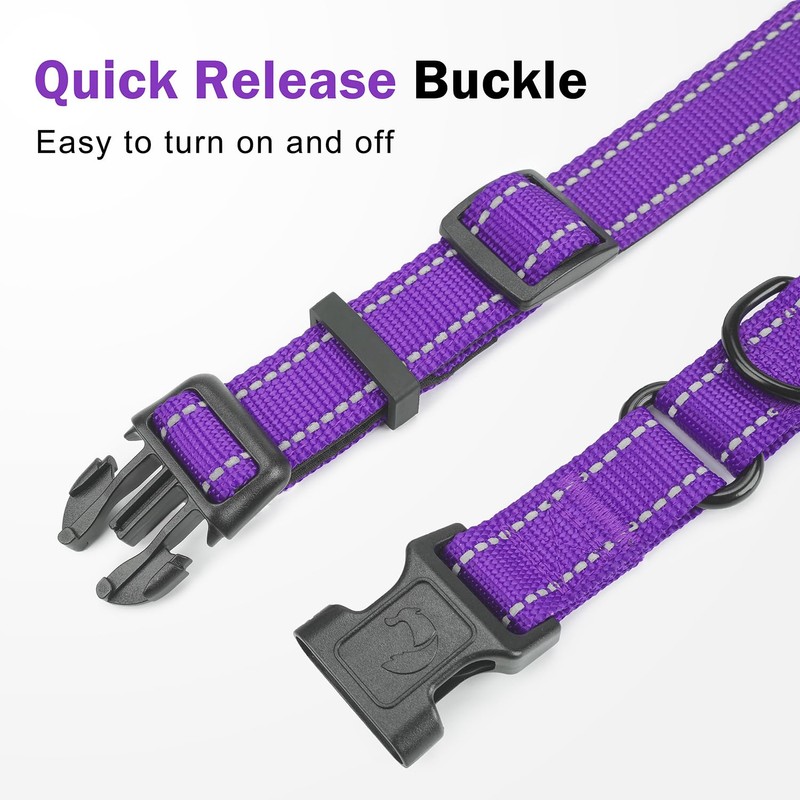 Erbine Martingale Collar for Dogs with Quick Release Buckle, Reflective