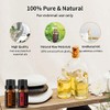 GREENSLEEVES GREENSLEEVES Essential Oil - 10ml (Rose + Orange)