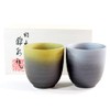 Traditional Crafts Arita Ware Teacup Pottery Artist Fujii Kinsai Kiln