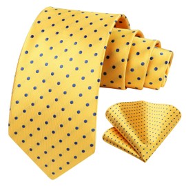 HISDERN Yellow Ties for Men Polka Dot Wedding Tie Handkerchief Formal Business Necktie & Pocket Square Set