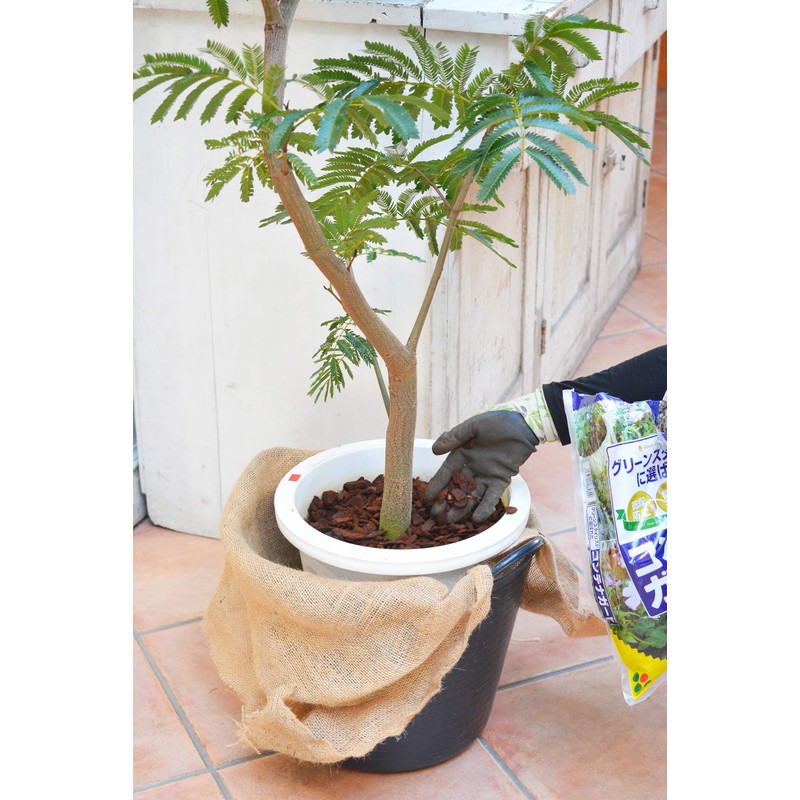 Hanagokoro Mulching Container Guard S 3L