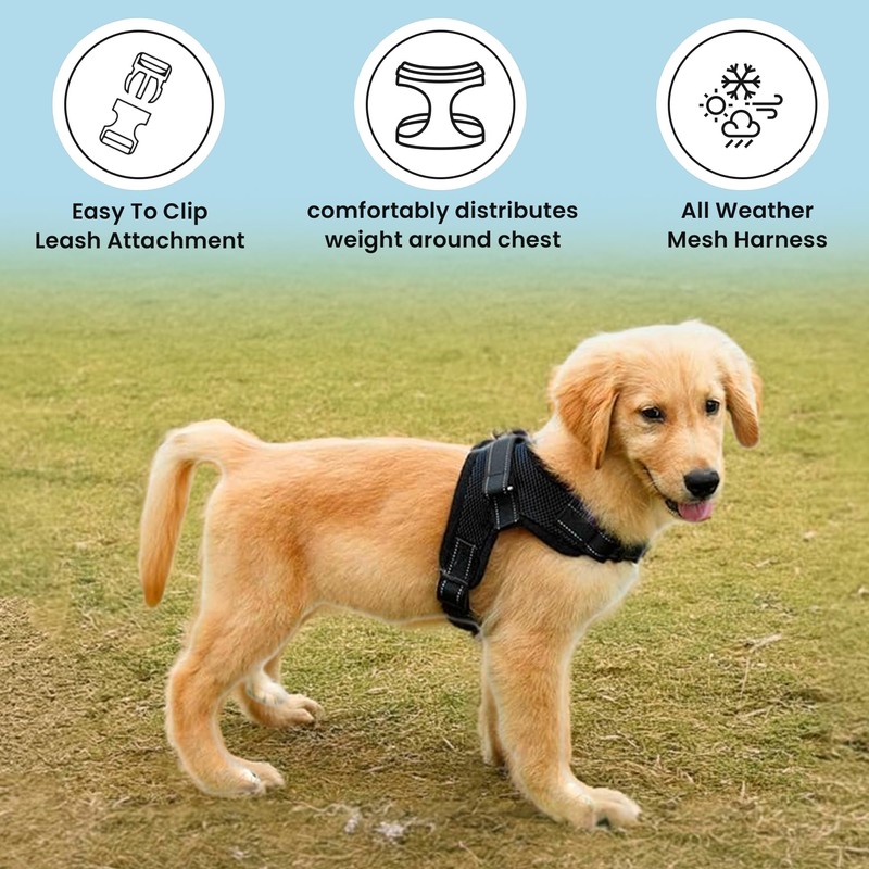 Copatchy No Pull Reflective Adjustable Dog Harness With Handle- Comfortable