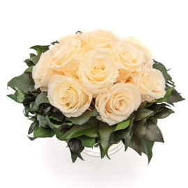 ROSEMARIE SCHULZ Heidelberg Infinity Flowers in Silver Cup Eternal Rose Preserved Bouquet Long Lasting (Champagne, 11 Roses)