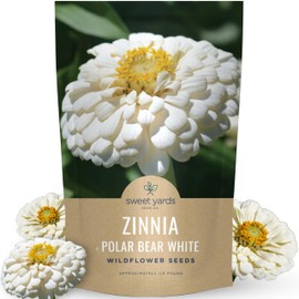 Zinnia Polar Bear White - Bulk 1/4 Pound Pouch - 15,000 Flower Seeds for Planting - Zinnia elegans