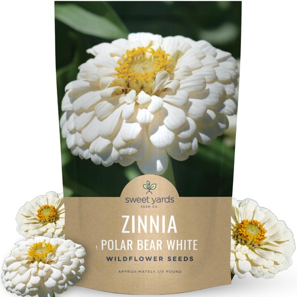 Zinnia Polar Bear White - Bulk 1/4 Pound Pouch -