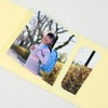 Yamadaya Matsuen Plain Cover Photo Mat Postcard Size 2 Sided