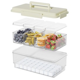 TERGOO Snackle Box Container with 20 Reusable Ice Cubes, Chilled 4 Compartment Divided Serving Tray with Lid and Handle, Portable Snackle Box for Fruit Veggie-Perfect for Travel Beach Road Trip(White)