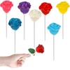 Fruidles Charming Roses Lollipops, Large Lollipop Sucker, Mixed Fruit Flavor,