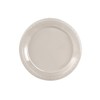 Creative Converting Touch of Color 20 Count Plastic Banquet Plates,