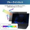 14" 16:10 Anti-Peeping Filter, Blue Light Reduction, UV Protection, Anti-Glare,