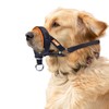 wintchuk Dog Head Collar with Soft Fabric, Head Harness Stops