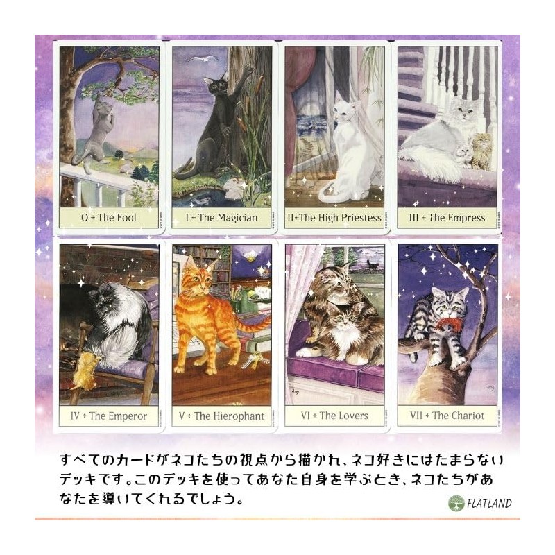 Cat's Eye Tarot Tarot Divination with Japanese Manual (English Language