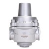 DERPIPE Pressure Regulator Water Valve - 1/2" NPT Female Stainless