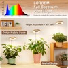 LORDEM Bamboo Base Desktop Grow Light, LED Plant Lamp with