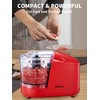 1.5-Cup One-Touch Electric Food Chopper, 100W Mini Food Processor Meat