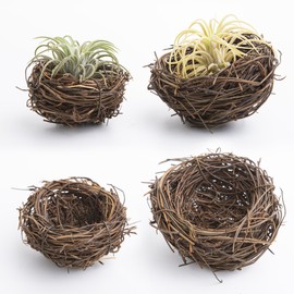 Umbrotiger 4-Pack Handwoven Bird Nest Air Plant Stands - Natural Rattan Creations for Tillandsia, Unique Desktop Decor for Office & Home Ideal Gift for Plant Enthusiasts (plants not included)